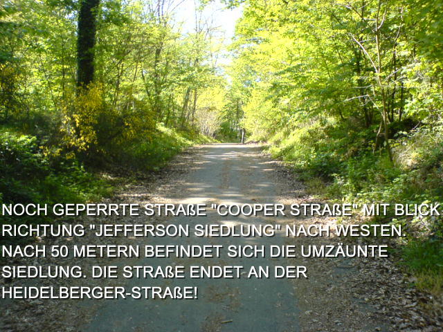 BLICK RICHTUNG WESTEN (JEFFERSON SIEDLUNG)