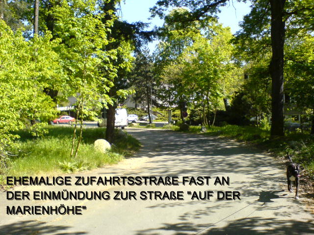 GESPERRTE STRA&szlig;E KURZ VOR DEM SEMINAR